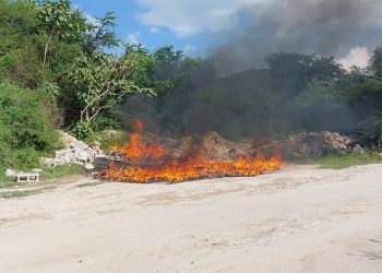 Fiscalía y Policía Nacional Civil destruyen droga incautada en 99 casos distintos