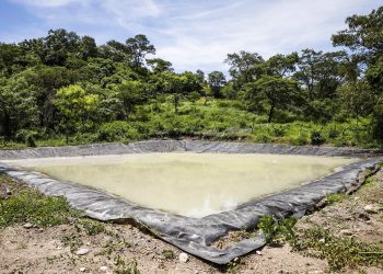 Productores construyen reservorios de agua para mitigar falta de lluvias