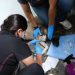 Bienestar Animal brinda atención veterinaria a perros maltratados