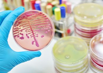 A medida que el planeta se calienta podrían aumentar las enfermedades infecciosas