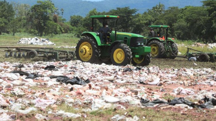 Foto: David Martínez/Diario El Salvador.
