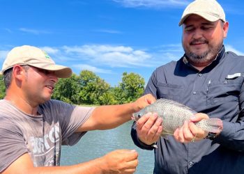 Ministerio de Agricultura y Ganadería promueve consumo de tilapia en El Salvador