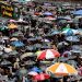 Julio rompe récord de temperaturas extremas alrededor del mundo