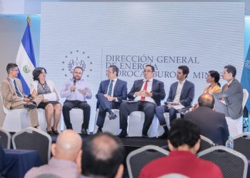 El Gobierno continúa con la apuesta de incrementar las renovables en el país