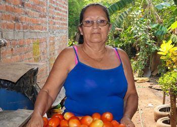 Martha cosecha y vende tomates en su casa