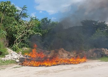 Autoridades destruyen droga que fue decomisada en Sonsonate, Santa Ana y San Salvador