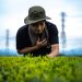 Japoneses demuestran potencial ecológico de las algas