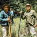 Reforestarán 50 manzanas de terreno en Jucuarán, Usulután