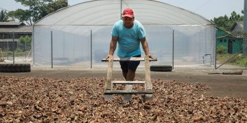 Isla El Espíritu Santo: la tierra donde el coco es como el maná