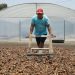Isla El Espíritu Santo: la tierra donde el coco es como el maná