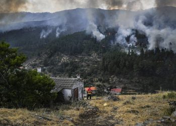 Un incendio forestal destruye 7,000 hectáreas en el centro de Portugal
