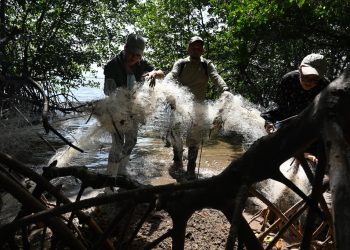 Desechos plásticos cubren santuario de aves en isla del Golfo de Fonseca