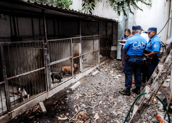 Bienestar Animal multa a dueños de una casa de crianza de animales
