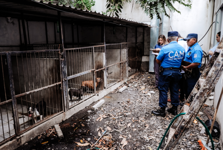 Foto: Diario El Salvador
