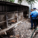 Bienestar Animal multa a dueños de una casa de crianza de animales