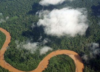¿Por qué es tan importante proteger la Amazonía?