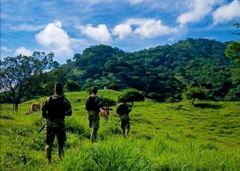 Encuentran armamento abandonado en Morazán