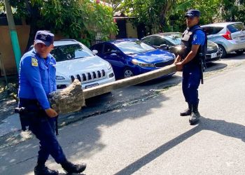 El CAM retira 125 obstáculos en colonia de San Salvador