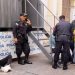 Autoridades detienen a ladrón y agresor en San Salvador