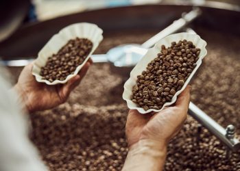 Productores buscan vender café a mejor precio que el que cotiza en bolsa de Nueva York