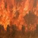 Incendios forestales en Hawái dejan al menos seis muertos