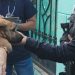Orden capturar a maltratador de animales en Ilopango