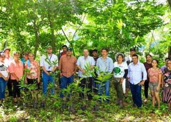 MAG verifica plantación de bambú en el río Lempa