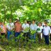 MAG verifica plantación de bambú en el río Lempa