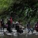 Récord anual de migrantes cruzó la selva panameña