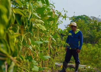 Salvadoreño impulsa proyecto agrícola tras contratación en Estados Unidos