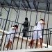 Fiscalía logra nuevo juicio para 9 personas ligadas al caso Chalchuapa
