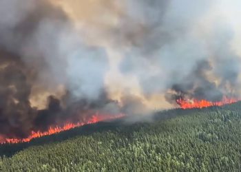 Ordenan evacuación en ciudad de Canadá ante advertencia de incendios forestales