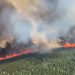 Ordenan evacuación en ciudad de Canadá ante advertencia de incendios forestales
