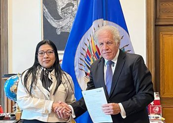 El TSE solicita a la OEA una misión de observación electoral