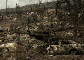 Mueren dos ciudadanos mexicanos en incendios en Hawái