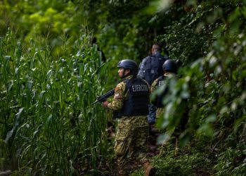 Fuerzas de seguridad encontraron armas en una fosa en Cabañas