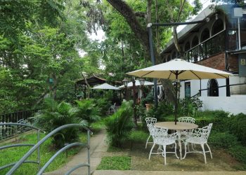 Un buen plato de comida y la naturaleza en su esplendor en El Salvador