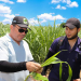 Gobierno de El Salvador apoya a productores de maíz por plaga de pulgón
