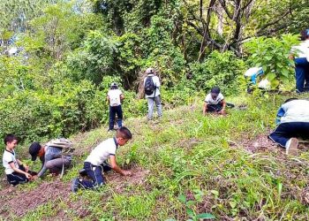 Reforestan área natural protegida en Candelaria de la Frontera, Santa Ana