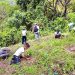 Reforestan área natural protegida en Candelaria de la Frontera, Santa Ana