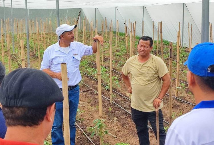 Foto/ Diario El Salvador