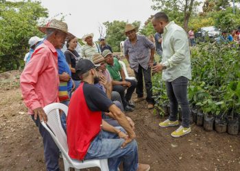 Mejoran la alimentación de los bovinos en Lolotique, San Miguel