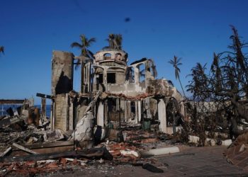 Autoridades temen encontrar cada día «10 o 20» cadáveres más por incendios de Hawái
