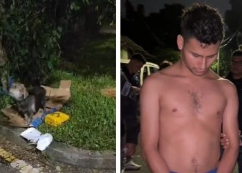 Capturan a hombre que abandonó a su perrito en la vía pública