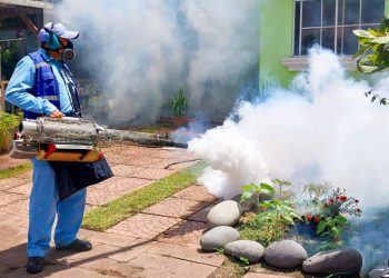 Reportan relevante disminución de casos de dengue en El Salvador