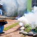 Reportan relevante disminución de casos de dengue en El Salvador