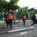 VMT registra el 19 % de reducción de peatones fallecidos