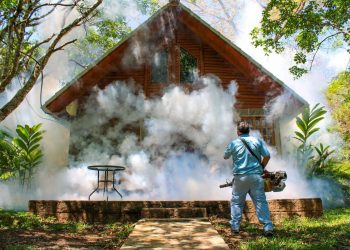 «El Salvador, por más de dos años, se encuentra libre de decesos por dengue»: ministro de Salud, Francisco Alabi
