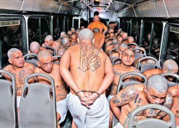 Enjuiciar a mareros como estructuras garantizará que no queden en libertad