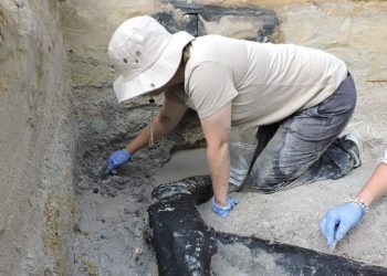 Arqueólogos hallan la estructura de madera más antigua que se conoce
